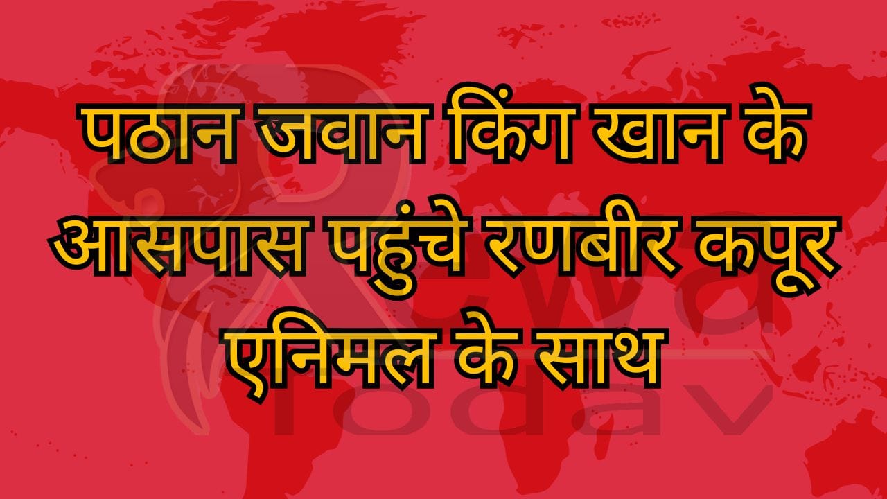 पठान जवान किंग खान के आसपास पहुंचे रणबीर कपूर एनिमल के साथ