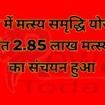 रीवा में मत्स्य समृद्धि योजना अन्तर्गत 2.85 लाख मत्स्य बीज का संचयन हुआ