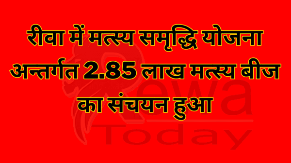 रीवा में मत्स्य समृद्धि योजना अन्तर्गत 2.85 लाख मत्स्य बीज का संचयन हुआ