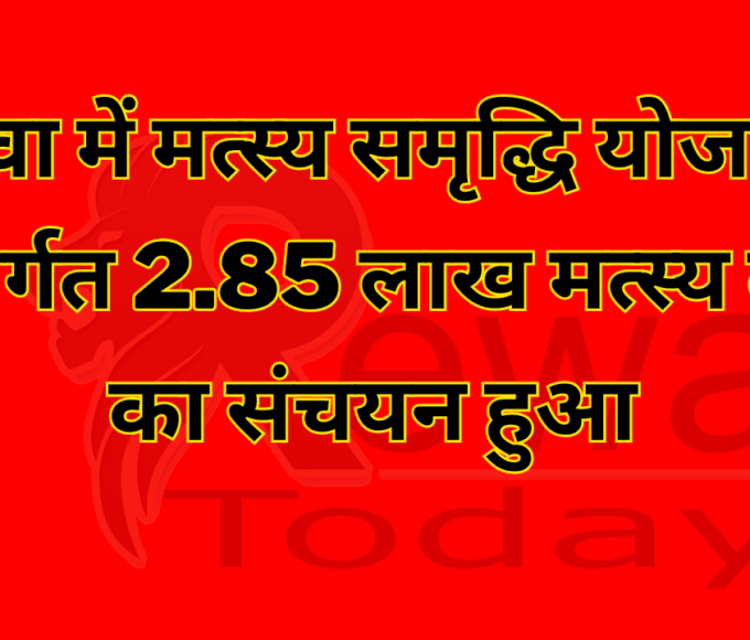 रीवा में मत्स्य समृद्धि योजना अन्तर्गत 2.85 लाख मत्स्य बीज का संचयन हुआ