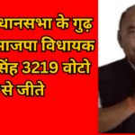 रीवा विधानसभा के गुढ़ क्षेत्र से भाजपा विधायक नागेंद्र सिंह 3219 वोटो से जीते