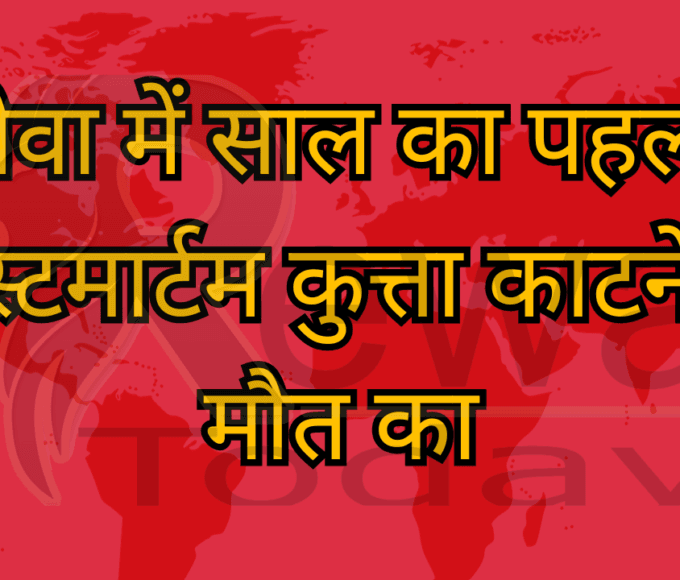 रीवा में साल का पहला पोस्टमार्टम कुत्ता काटने से मौत का