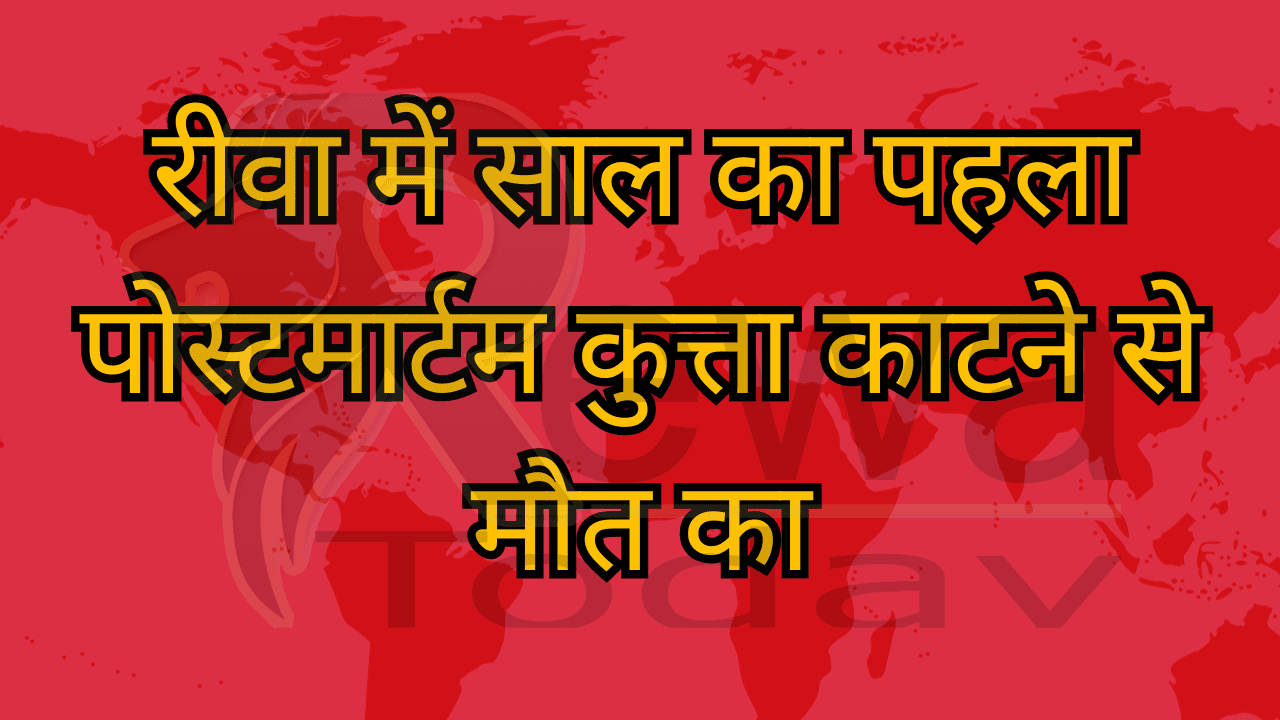 रीवा में साल का पहला पोस्टमार्टम कुत्ता काटने से मौत का