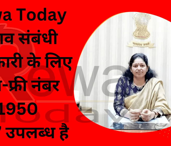 election related information