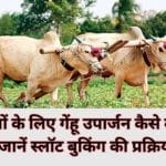 How to book wheat procurement for farmers: Know the process of slot booking