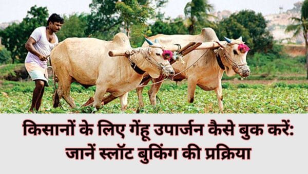 How to book wheat procurement for farmers: Know the process of slot booking