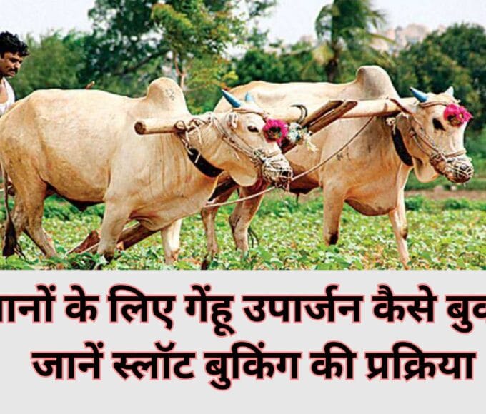 How to book wheat procurement for farmers: Know the process of slot booking