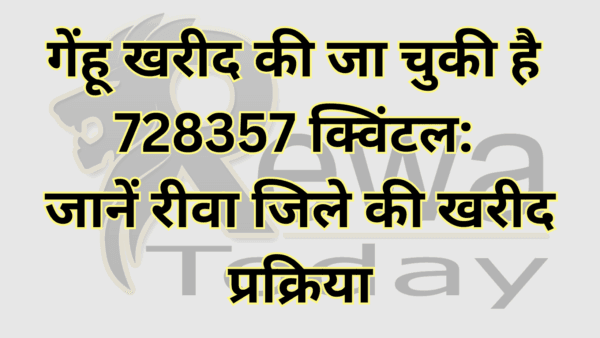 Wheat has been purchased 728357 quintals