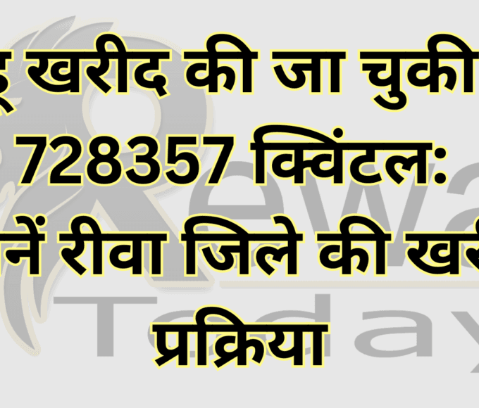 Wheat has been purchased 728357 quintals