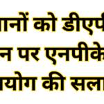 Farmers are advised to use NPK instead of DAP