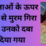 महिलाओं के ऊपर डंपर से मुरम गिरा कर उनको दबा दिया गया