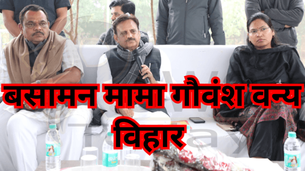 Rewa Today : बसामन मामा गौवंश वन्य विहार