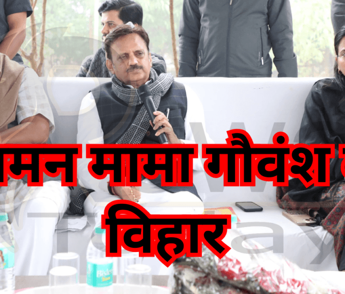 Rewa Today : बसामन मामा गौवंश वन्य विहार