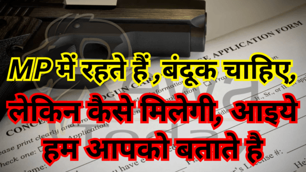 You live in MP, want a gun, let us tell you