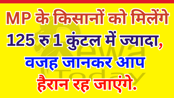 MP के किसानों को मिलेंगे 125 रु 1 कुंटल में ज्यादा, वजह जानकर आप हैरान रह जाएंगे.