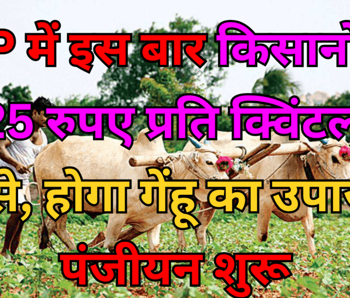 MP में इस बार किसानों से 2425 रुपए प्रति क्विंटल की दर से, होगा गेंहू का उपार्जन. पंजीयन शुरू