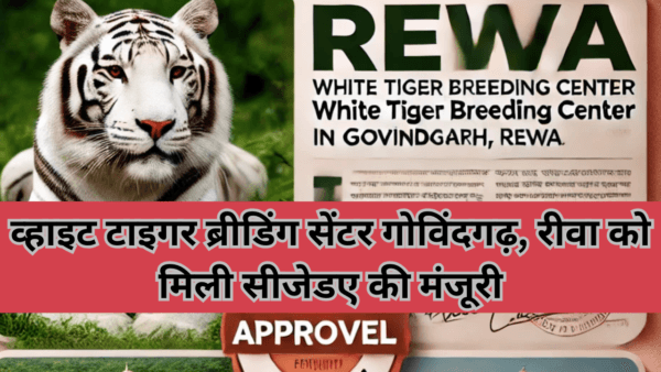 सीजेडए की मंजूरी