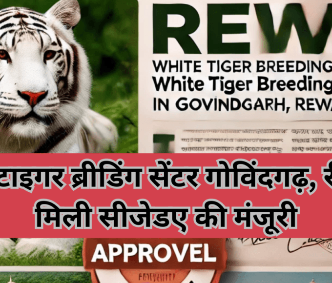 सीजेडए की मंजूरी