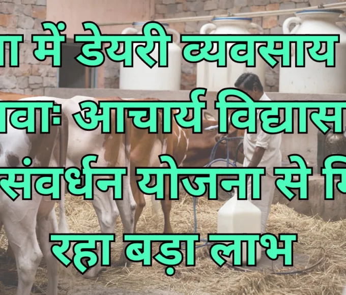 dairy farm in rewa