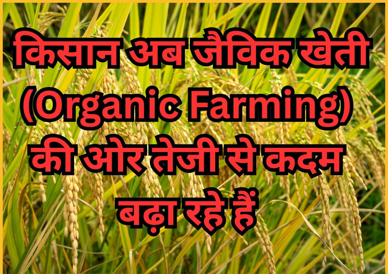 किसान अब जैविक खेती (Organic Farming) की ओर तेजी से कदम बढ़ा रहे हैं