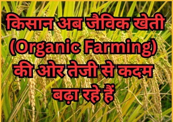 किसान अब जैविक खेती (Organic Farming) की ओर तेजी से कदम बढ़ा रहे हैं