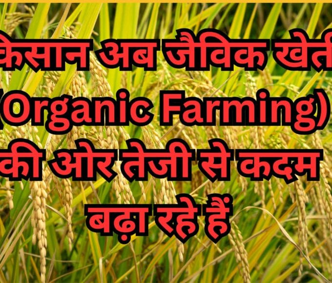किसान अब जैविक खेती (Organic Farming) की ओर तेजी से कदम बढ़ा रहे हैं