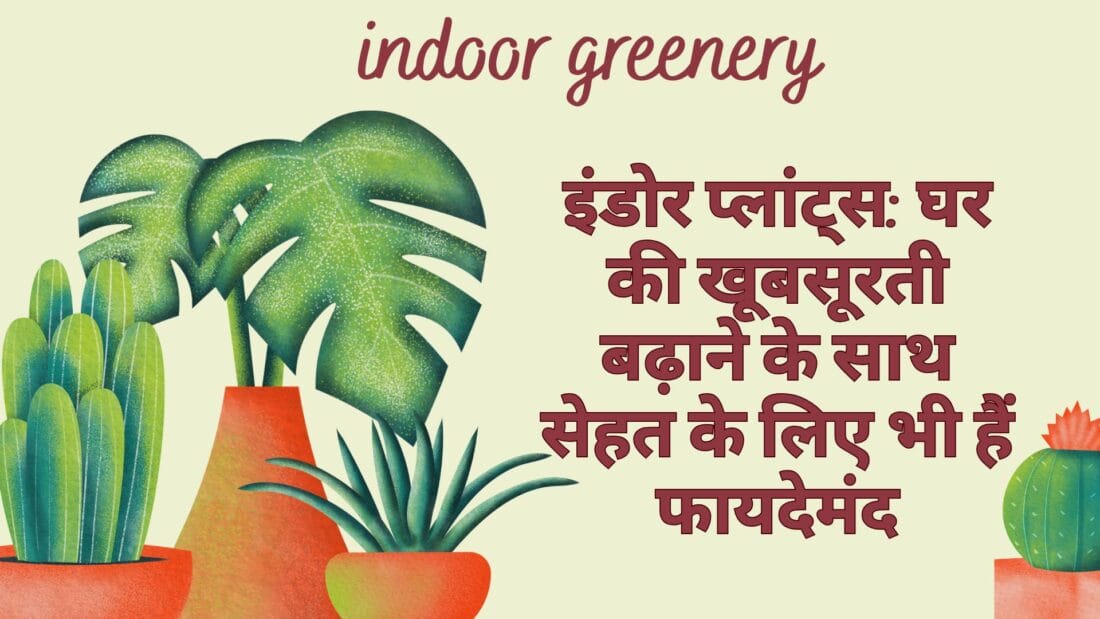 इंडोर प्लांट्स: घर की खूबसूरती बढ़ाने के साथ सेहत के लिए भी हैं फायदेमंद