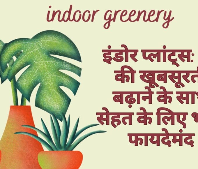इंडोर प्लांट्स: घर की खूबसूरती बढ़ाने के साथ सेहत के लिए भी हैं फायदेमंद