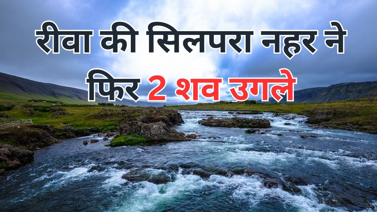 रीवा की सिलपरा नहर ने फिर 2 शव उगले