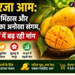 सुंदरजा आम: स्वाद, मिठास और सुगंध का अनोखा संगम, गर्मियों में बढ़ रही मांग