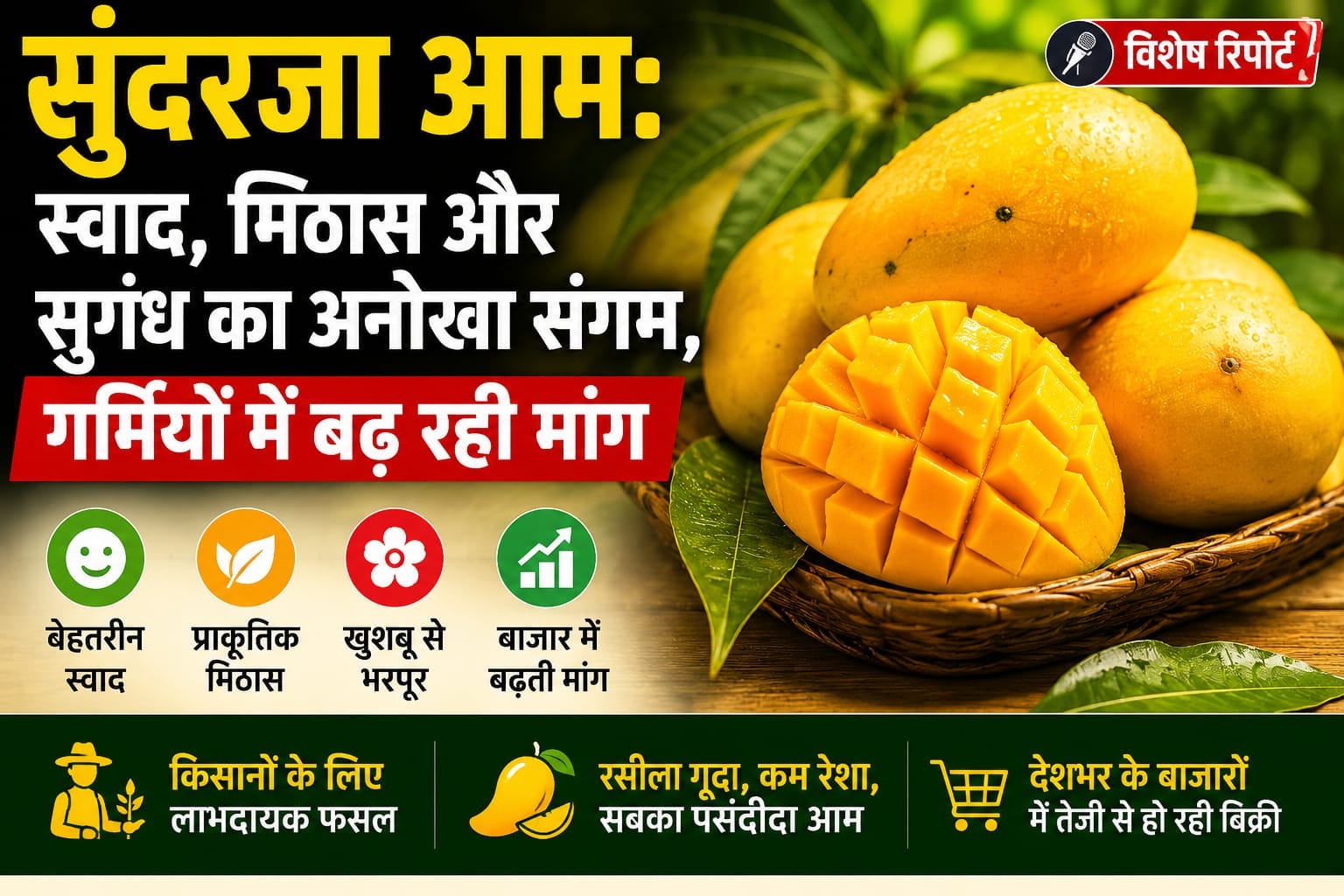 सुंदरजा आम: स्वाद, मिठास और सुगंध का अनोखा संगम, गर्मियों में बढ़ रही मांग