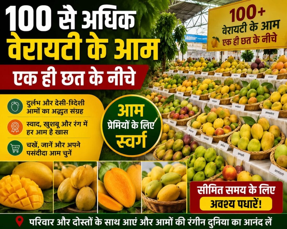 सौ से ज्यादा वैरायटी के आम एक ही छत के नीचे,