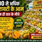 सौ से ज्यादा वैरायटी के आम एक ही छत के नीचे,