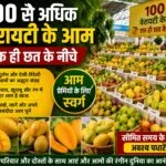सौ से ज्यादा वैरायटी के आम एक ही छत के नीचे,