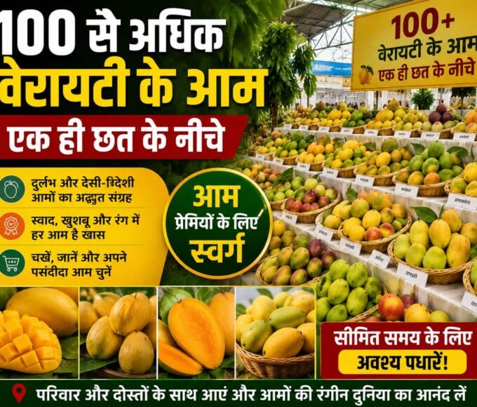 सौ से ज्यादा वैरायटी के आम एक ही छत के नीचे,
