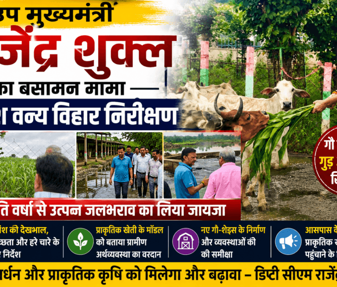 Deputy CM Rajendra Shukla visited the Basaman Mama Bovine Wildlife Sanctuary and took stock of the waterlogging situation.