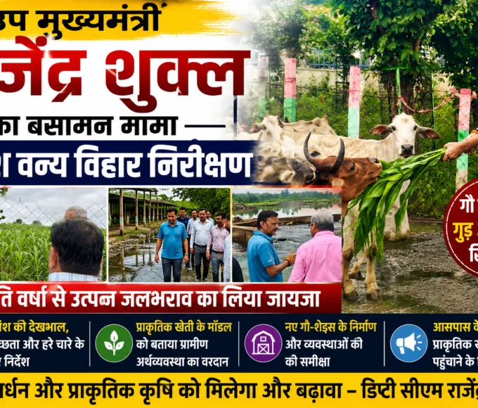 Deputy CM Rajendra Shukla visited the Basaman Mama Bovine Wildlife Sanctuary and took stock of the waterlogging situation.