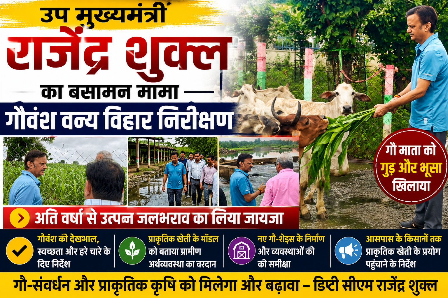 Deputy CM Rajendra Shukla visited the Basaman Mama Bovine Wildlife Sanctuary and took stock of the waterlogging situation.